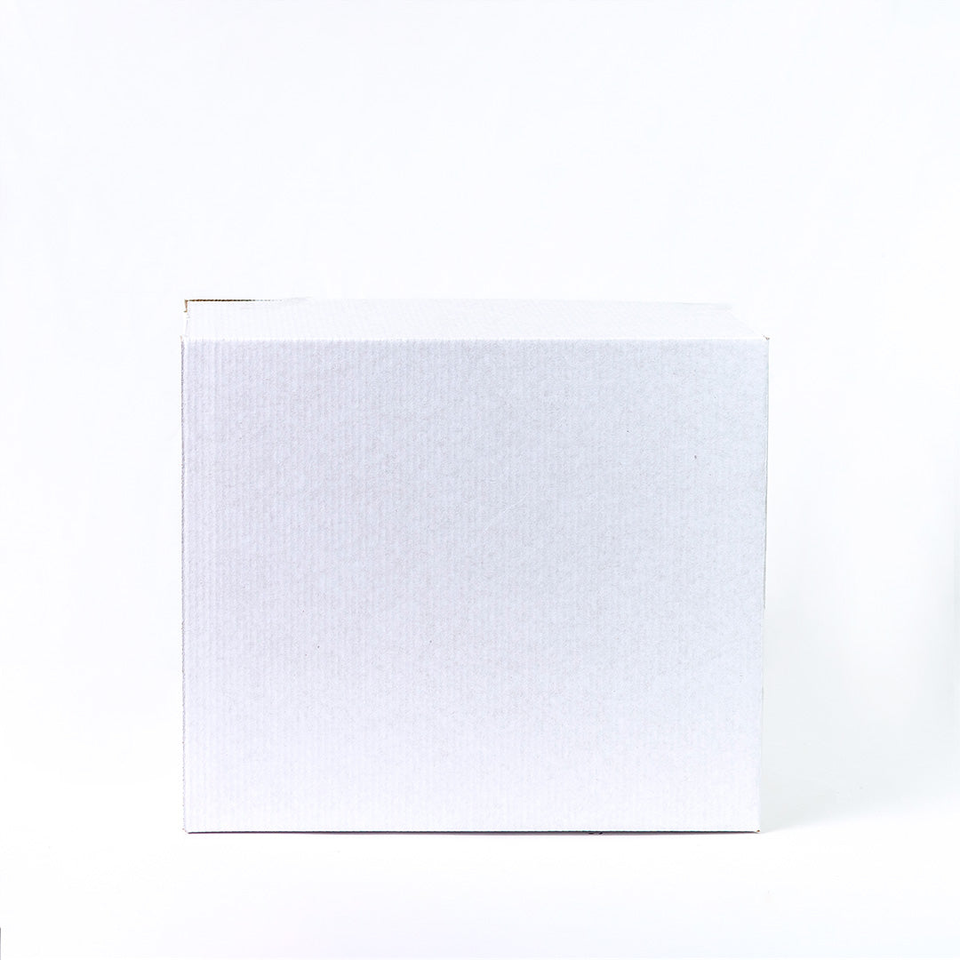 Caja Regular Blanca 30x20x25